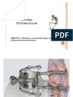 Anato 2 Unidad Osteomuscular