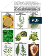 Sazonadores Naturales 002 PDF