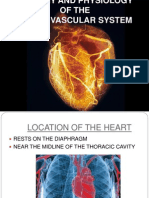 Anatomy and Physiology of The Cardiovascular System Medical Surgical Nursing