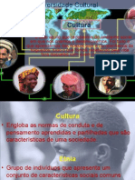 Diversidade Cultural