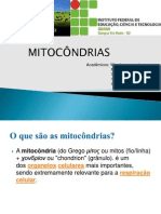 Mitocôndria