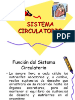 Sistema Circulatorio