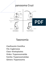 Trypanosoma Cruzi Presentacion