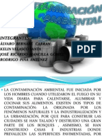 Diapositivas de La Contaminacion