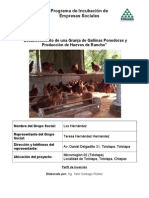 Proyecto Establecimiento de Una Granja de Gallinas Ponedoras y Huevos de Rancho