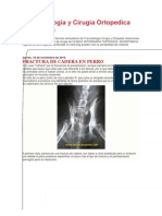 Traumatologia y Cirugia Ortopedica Veterinaria