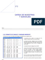 Capitulo 7 - Carga Muestras y DDH