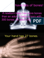 We Sure Have Lots of Bones!