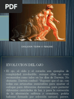 Presentacion de Evolucion Del Ojo