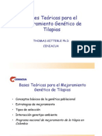 Bases Teóricas para El Mejoramiento Genético de Tilapias