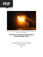 Una Mirada A La Industria Del Gas en Venezuela (1998-2012)