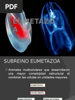 EUMETAZOOA