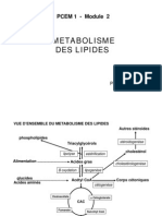 Metabolisme Lipides