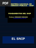 Fundamentos Del Snip - Minam-Esan 2011