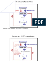 Hormone Feedback Loops