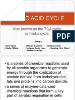 Citric Acid Cycle-With Quiz Biochemistry