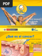 0.1. ROTAFOLIO - Prevencion Del Cancer