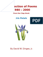 Collection of Poems by David W. Dinges Jr. (1980 - 2000)