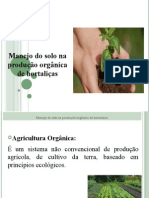 Manejo Do Solo Na Produção Orgânica de Hortaliças