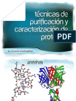 Tecnicas de Purificacion y Caracterizacion de Proteinas