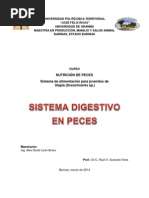 Sistema Digestivo en Peces