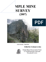 Temple Mine Survey (2007)