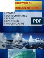 Molecules of Life: 1.1 WATER 1.2 Carbohydrates 1.3 Lipids 1.4 Proteins 1.5 Nucleic Acids