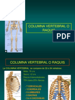 13 - Columna Vertebral