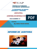 Informe Largo de Auditoria