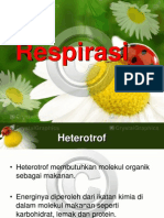 Respirasi Heterotrof