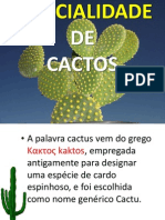 ESPECIALIDADE Cactos