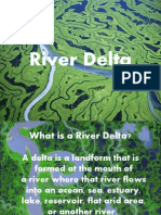 River Deltas