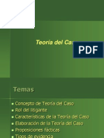 Teoria Del Caso