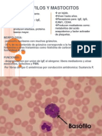 Basofilos, Eosinofilos y Cel Dendriticas