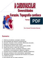 1.corazón y Topografia Cardíaaca