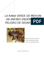 La Rana Verde de Mehuin Un Anfibio Endémico en Peligro de Desaparecer