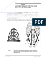 Lumbopelvic Stability: Syllabus