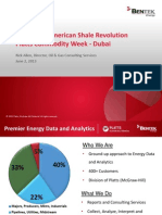 North American Shale Revolution