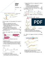 Molecular Basis of Inheritance