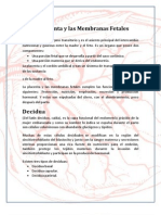 Informe de La Placenta y Las Membranas Fetales