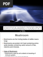 Exotica Agro Food PVT LTD (A)