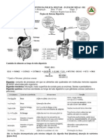 Resumo Digestão e Respiração