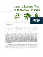 Local Philippine Medicinal Plants