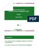 Presentation CIB 2010 08 PDF