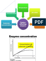 Factor Affecting Enzyme