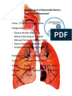 El Sistema Respiratorio Terminado