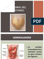 Anatomía Del Peritoneo