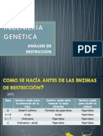 Análisis de Restricción