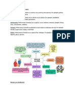 Clasificacion de Los Valores