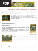 VARIEDADES DE CAFÉ SEMBRADAS EN COLOMBIA (Sena)